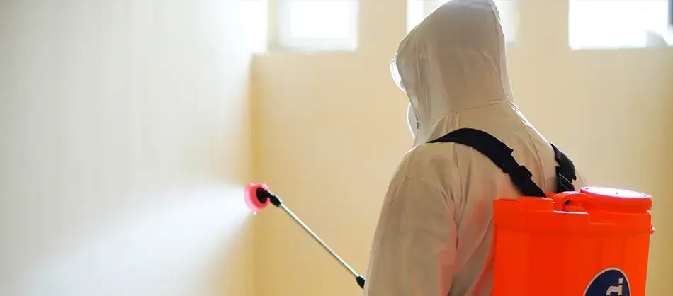 Attic Mold Removal in Gainesville FL