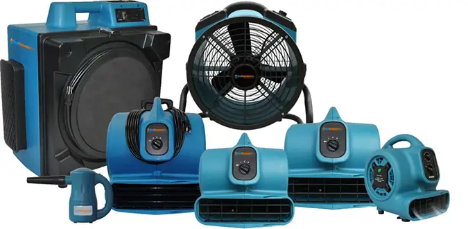 Basement Mold Removal in Gainesville FL