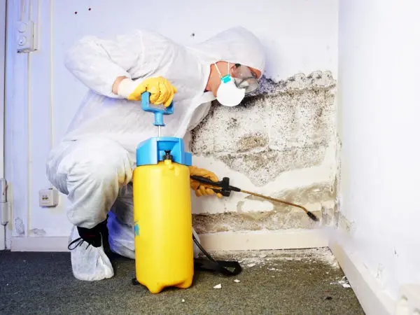 Basement Mold Removal in Gainesville FL