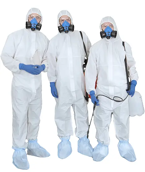 Mold Removal in Gainesville FL