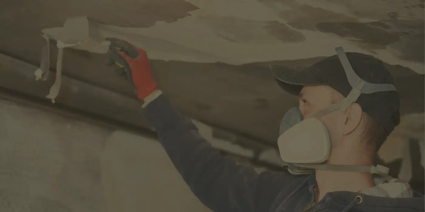 Mold Removal Northwest Gainesville in Gainesville FL